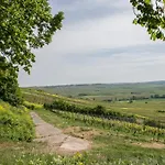 Hofgut Wissberg - Weinberghotel Sankt Johann (Mainz-Bingen, Rhineland-Palatinate)