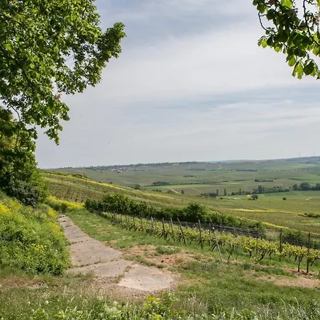 Hofgut Wissberg - Weinberghotel Санкт-Йохан