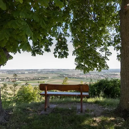 Hofgut Wissberg - Weinberghotel Hotel