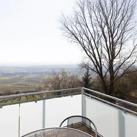 Hotel Hofgut Wissberg - Weinberghotel