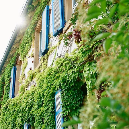 Hofgut Wissberg - Weinberghotel 호텔 상트요한