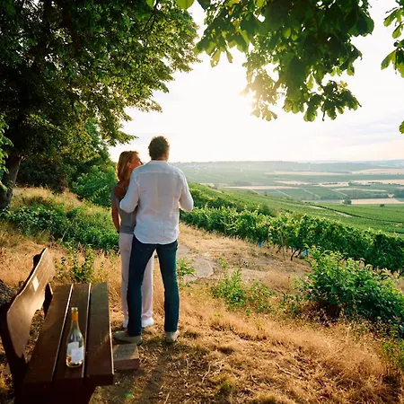 Hofgut Wissberg - Weinberghotel Hotel 4*