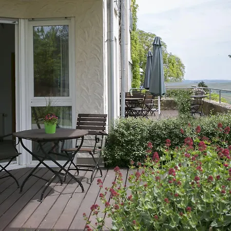 Hotel Hofgut Wissberg - Weinberghotel