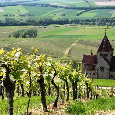 Hofgut Wissberg - Weinberghotel Hotel