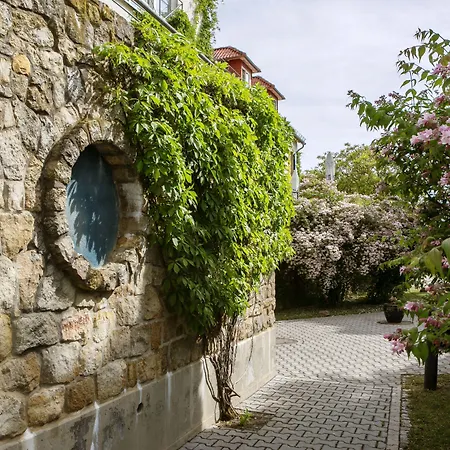 Hotel Hofgut Wissberg - Weinberghotel Sankt Johann (Mainz-Bingen, Rhineland-Palatinate)