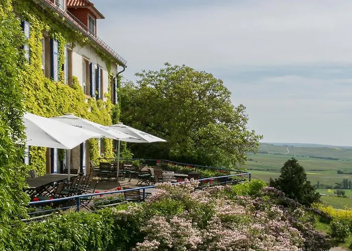 Hotel Hofgut Wißberg - Weinberghotel Sankt Johann (Mainz-Bingen, Rhineland-Palatinate)