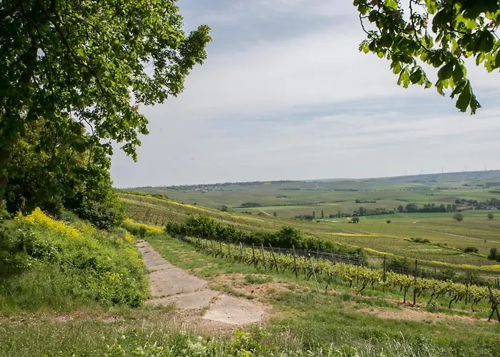 Hofgut Wissberg - Weinberghotel 상트요한