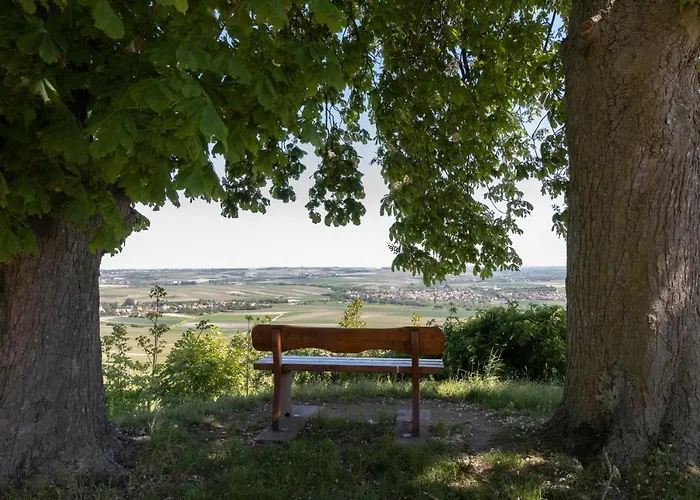 Hofgut Wissberg - Weinberghotel 호텔