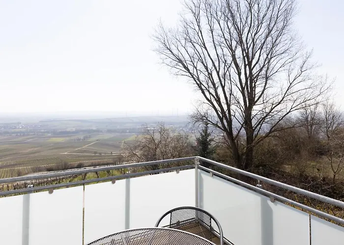 Hotel Hofgut Wißberg - Weinberghotel