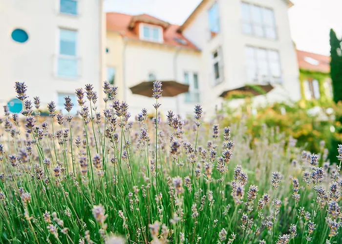 Hofgut Wißberg - Weinberghotel 4*