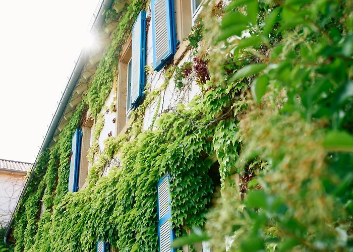 Hofgut Wissberg - Weinberghotel 호텔 상트요한