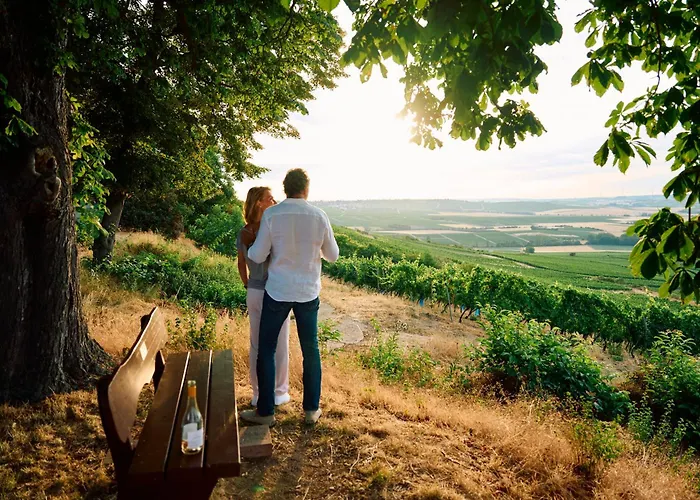 Hofgut Wißberg - Weinberghotel Hotel 4*