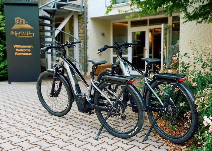 Hofgut Wissberg - Weinberghotel 4* 상트요한