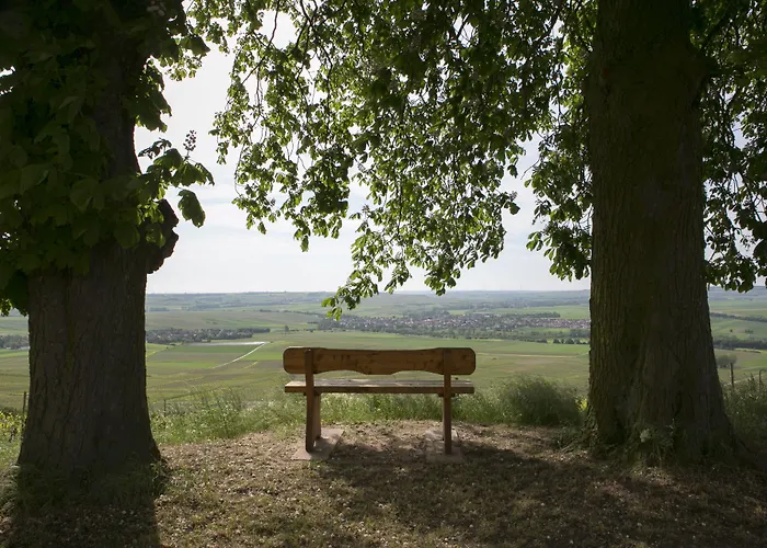 Hofgut Wissberg - Weinberghotel 4* 상트요한
