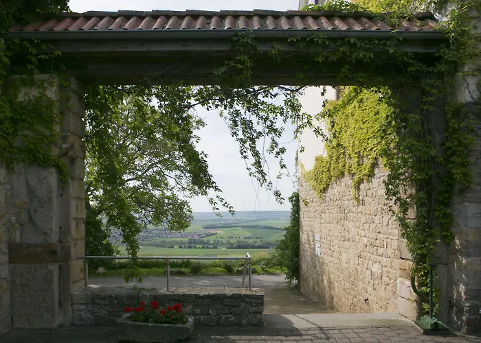 호텔 Hofgut Wissberg - Weinberghotel 4*