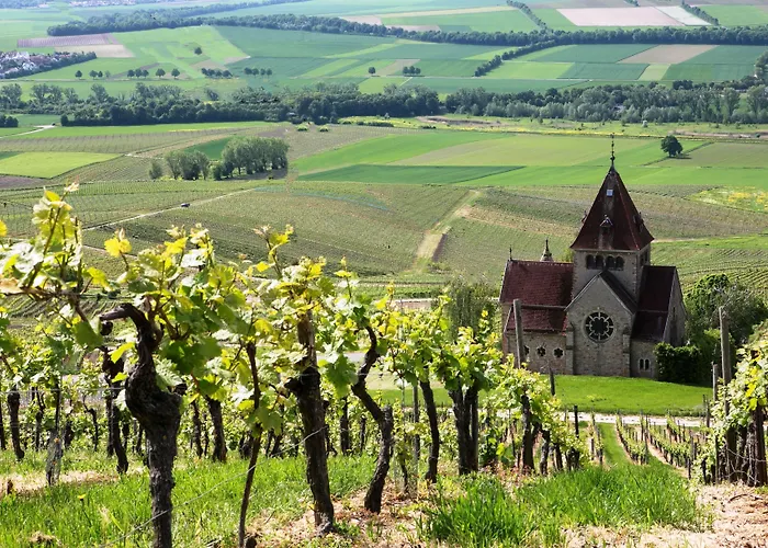Hofgut Wissberg - Weinberghotel 호텔