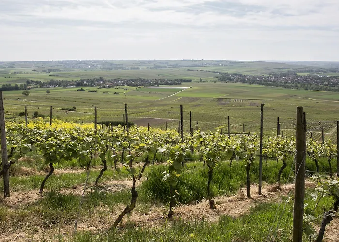 Hofgut Wissberg - Weinberghotel 호텔