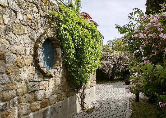 Hotel Hofgut Wißberg - Weinberghotel Sankt Johann (Mainz-Bingen, Rhineland-Palatinate)