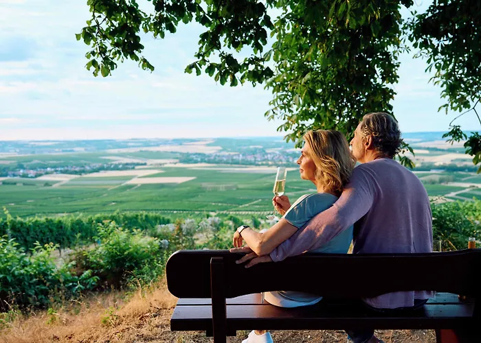 Hofgut Wißberg - Weinberghotel Hotel Sankt Johann (Mainz-Bingen, Rhineland-Palatinate)